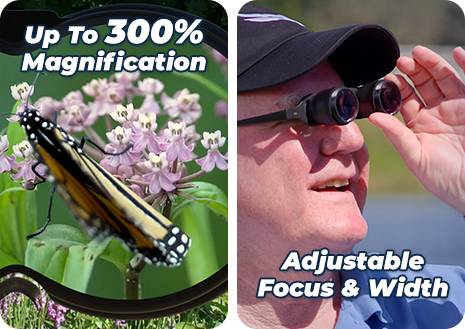 Up to 10x magnification, adjustable focus and width